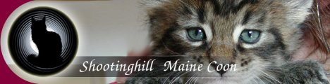 Shootinghill Maine Coon Banner 1/JPG